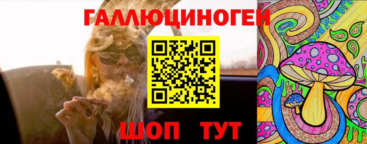 Галлюциногенные грибы GOLDEN TEACHER  Вход с VPN  Кузнецк 